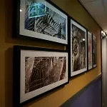 Leonardo Museum Quarter 4* Amsterdam